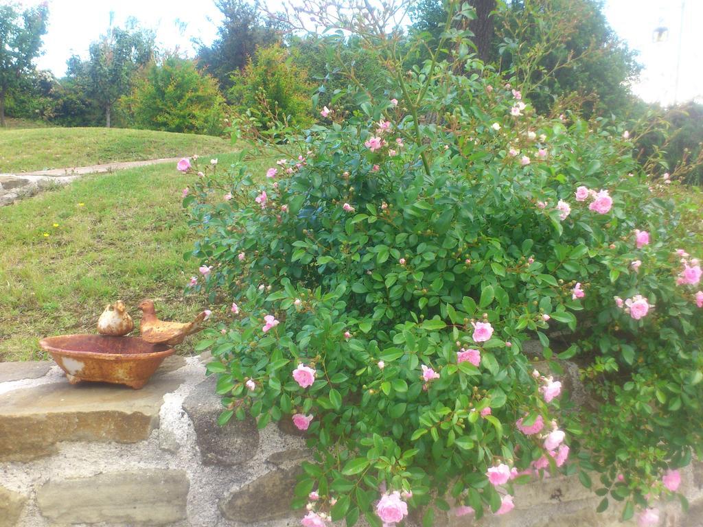 Poggio Dei Prugnoli Bed and Breakfast Tavoleto Exteriör bild