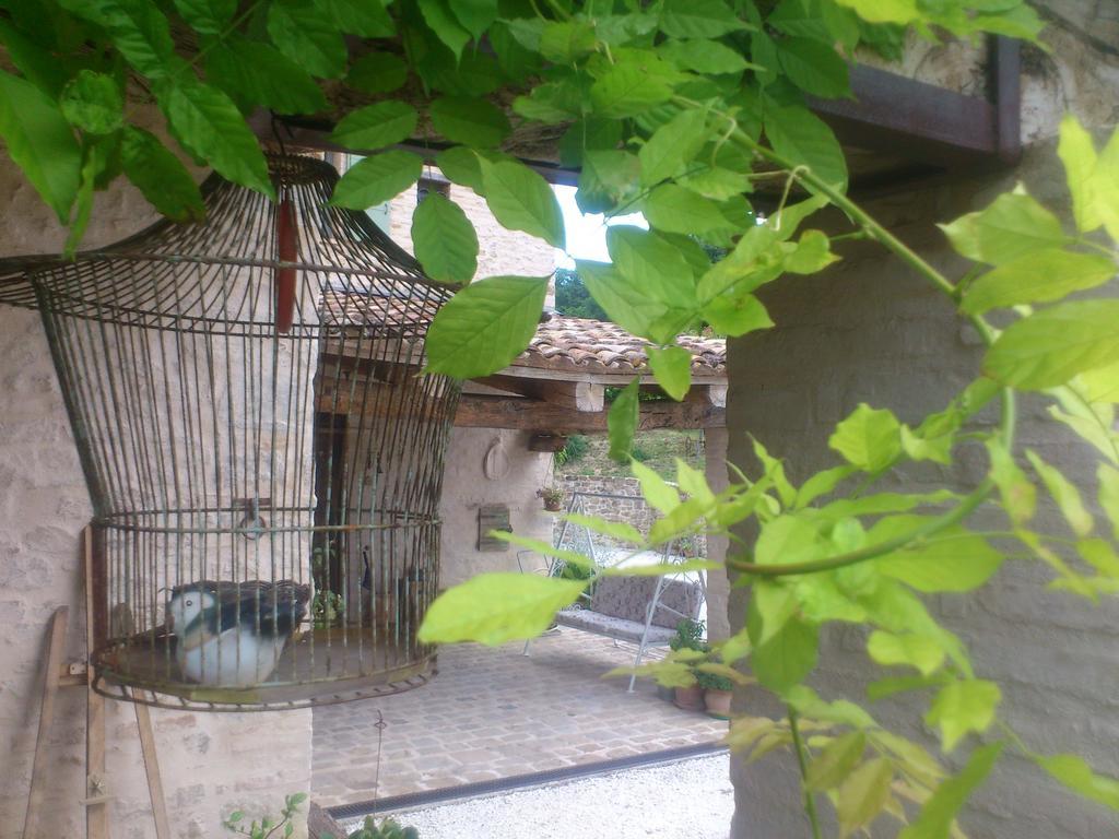 Poggio Dei Prugnoli Bed and Breakfast Tavoleto Exteriör bild