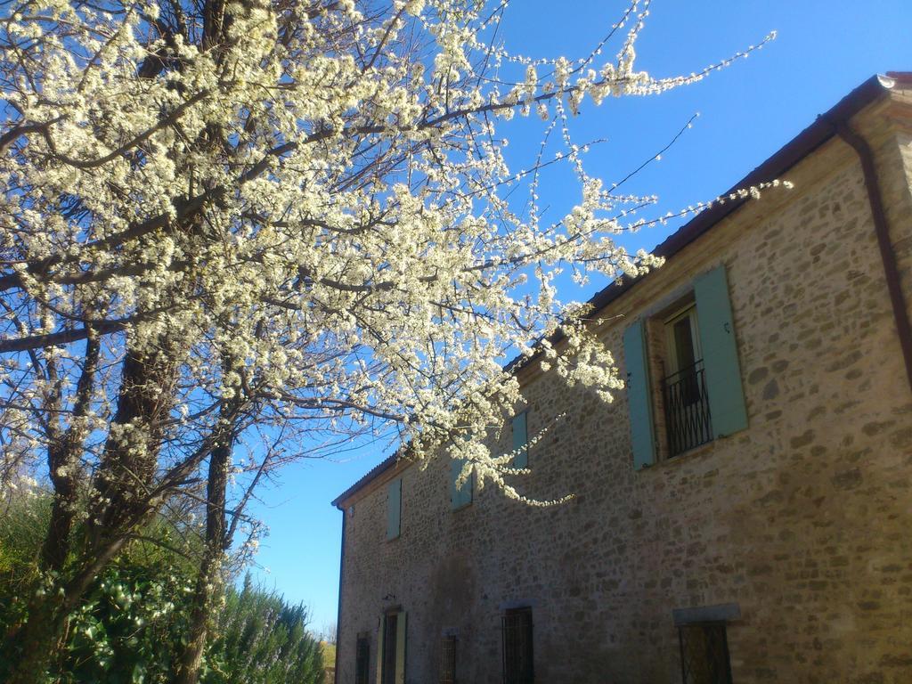 Poggio Dei Prugnoli Bed and Breakfast Tavoleto Exteriör bild