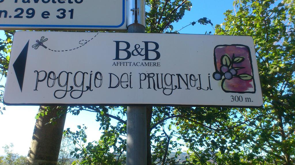 Poggio Dei Prugnoli Bed and Breakfast Tavoleto Exteriör bild