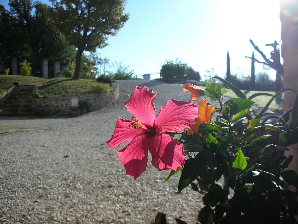 Poggio Dei Prugnoli Bed and Breakfast Tavoleto Exteriör bild